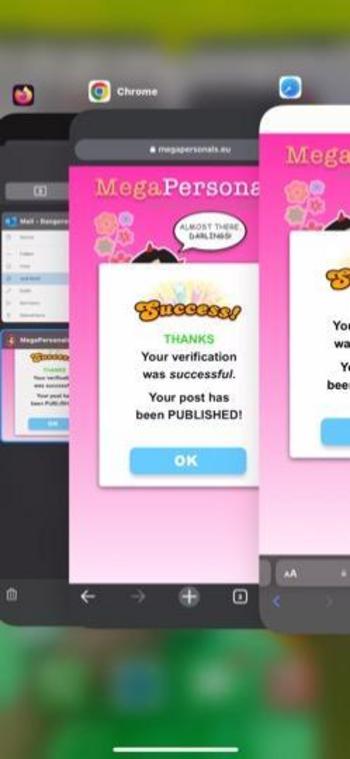 3473937339, transgender escort, Albany